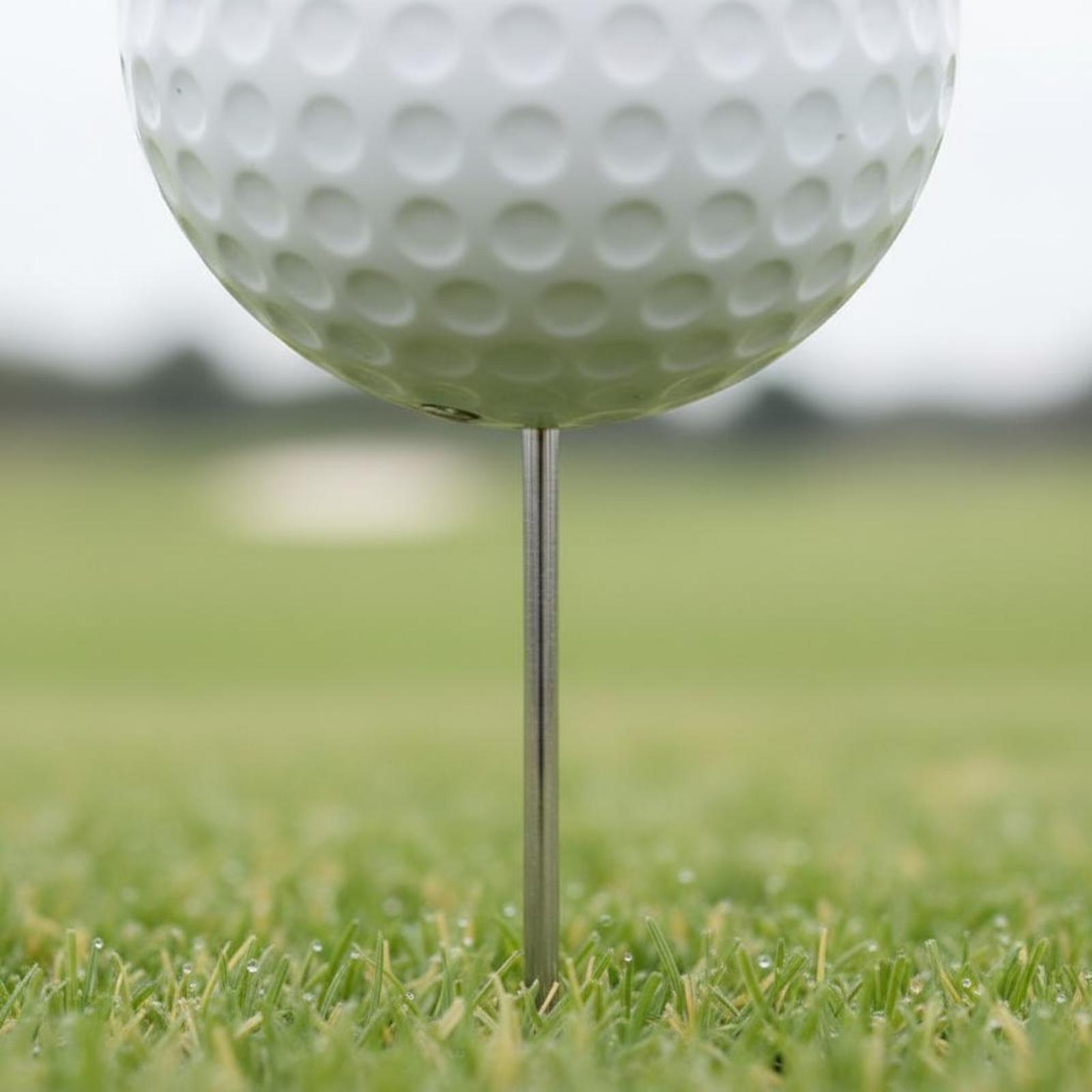 Course Teeing Starter Golfbalv - Golf Tees recensie en prijs
